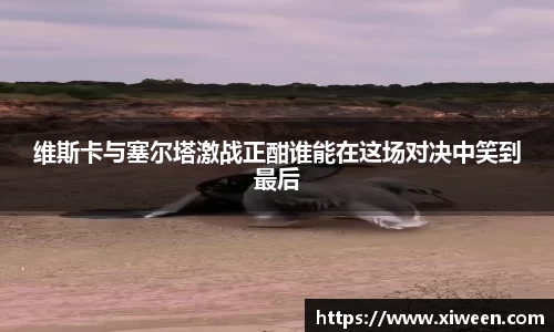 NG体育官网